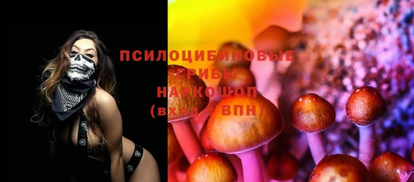кокс Нея