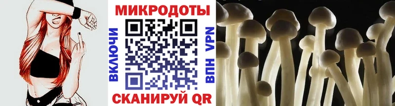 Псилоцибиновые грибы Psilocybe Чебаркуль