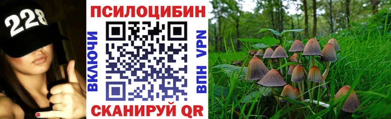 OMG   Чебаркуль  Галлюциногенные грибы MAGIC MUSHROOMS  где найти  