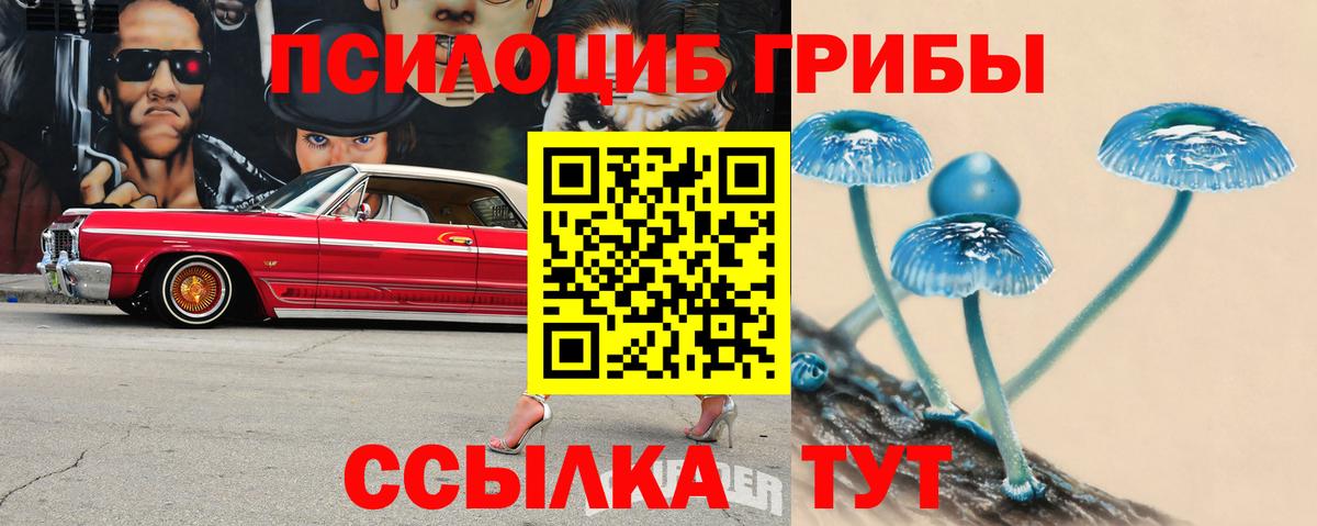 Галлюциногенные грибы мухоморы Чебаркуль